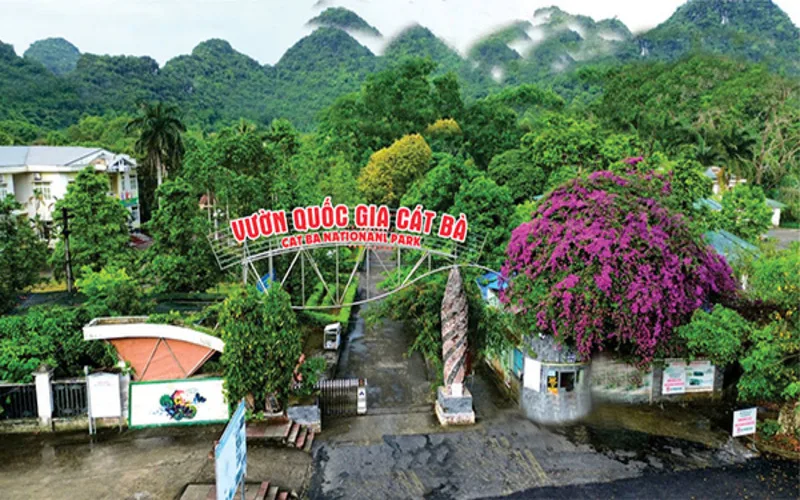 cam nang di cat ba tu tuc di dau an gi choi gi tu az