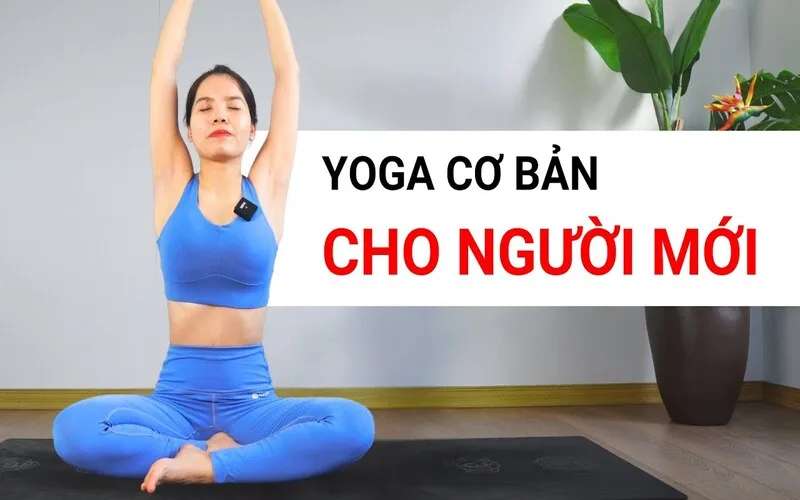 huong dan tap yoga cho nguoi moi bat dau cam nang tu a den z
